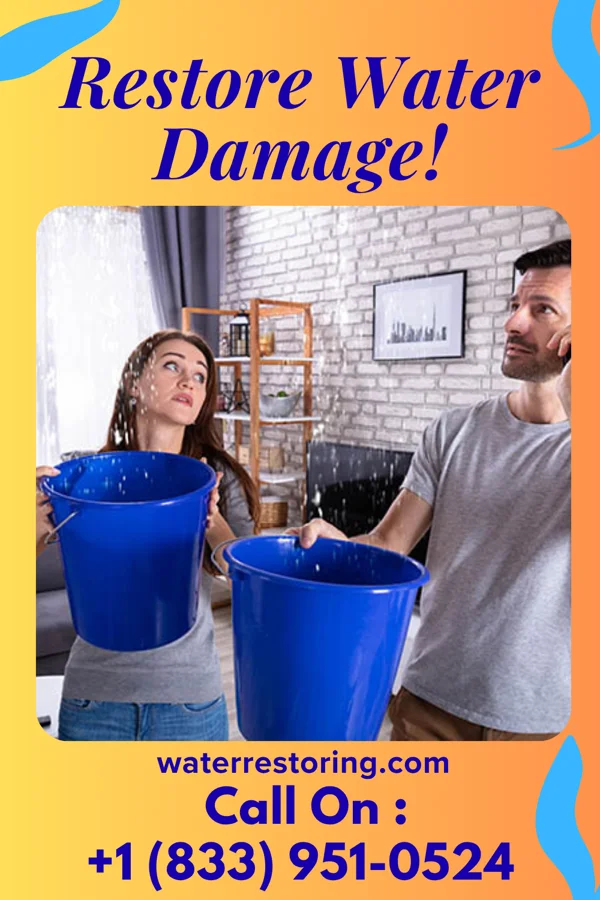 water restoration Pro Water Removal Solutions Glenfield