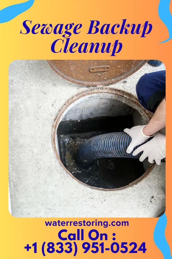 Sewage Backup Cleanup in Glenfield, PA