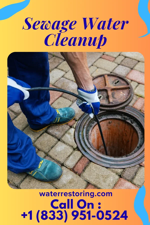 Sewage Water Cleanup in Glenfield, PA