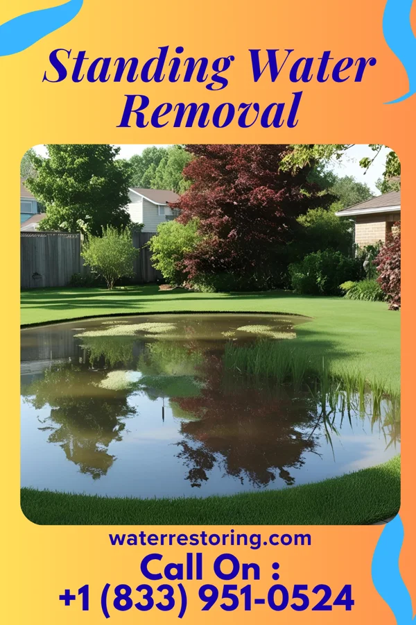 Standing Water Removal in Glenfield, PA